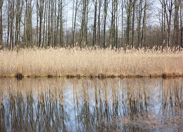 Saskia de Wit, visie - weerspiegeling