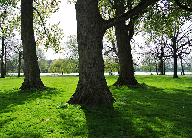 Saskia de Wit, Schellingwouderbreekpark, 